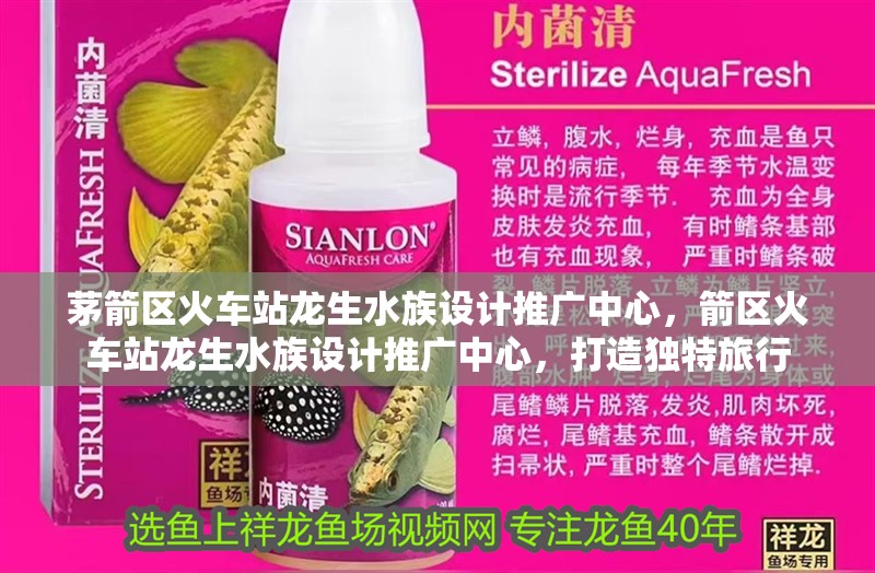 茅箭區火車站龍生水族設計推廣中心，箭區火車站龍生水族設計推廣中心，打造獨特旅行