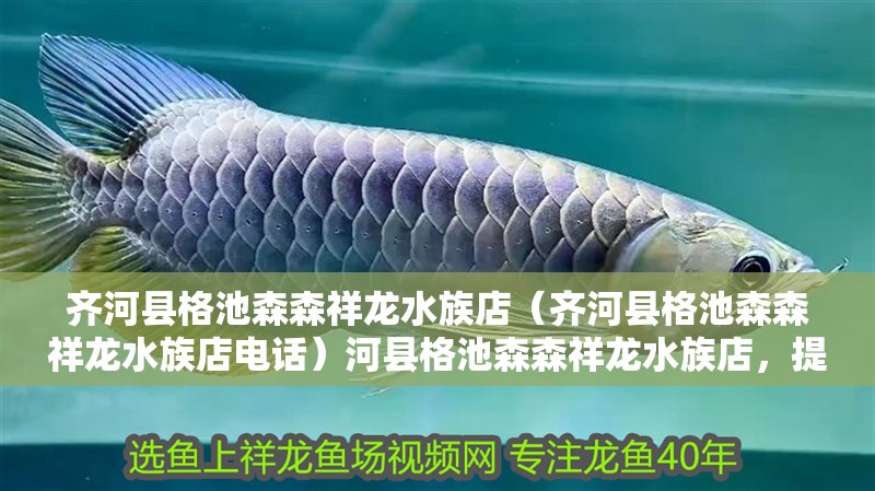 齊河縣格池森森祥龍水族店（齊河縣格池森森祥龍水族店電話）河縣格池森森祥龍水族店，提供專業