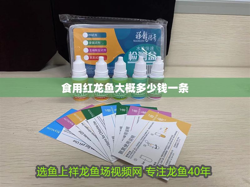 食用紅龍魚大概多少錢一條