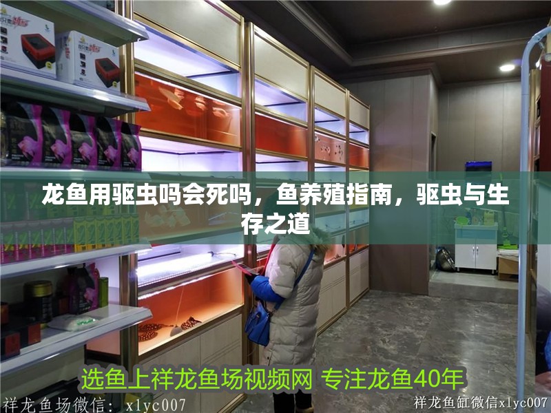 龍魚用驅蟲嗎會死嗎，魚養殖指南，驅蟲與生存之道