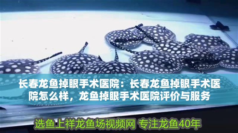 長春龍魚掉眼手術醫院：長春龍魚掉眼手術醫院怎么樣，龍魚掉眼手術醫院評價與服務