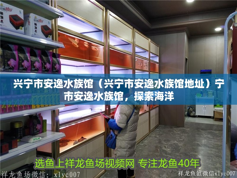 興寧市安逸水族館（興寧市安逸水族館地址）寧市安逸水族館，探索海洋