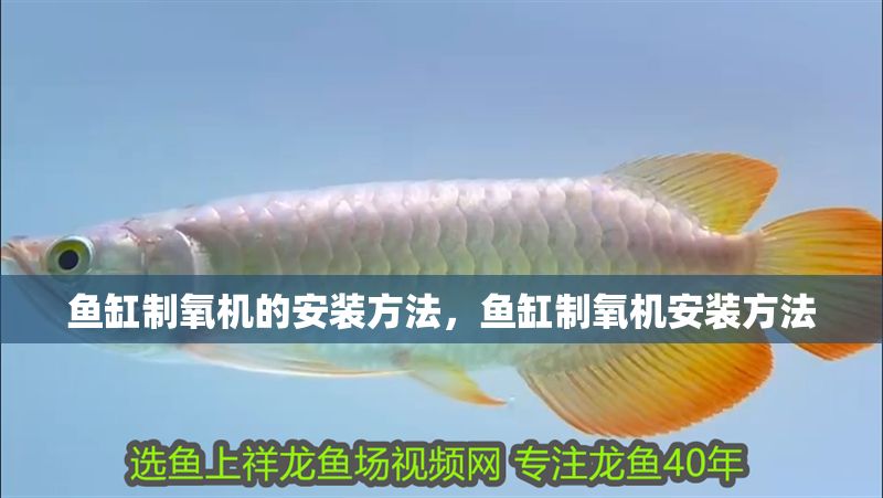 魚缸制氧機的安裝方法，魚缸制氧機安裝方法