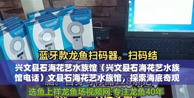 興文縣石海花藝水族館（興文縣石海花藝水族館電話）文縣石海花藝水族館，探索海底奇觀