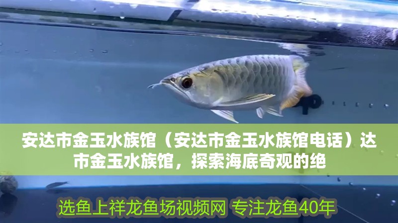 安達市金玉水族館（安達市金玉水族館電話）達市金玉水族館，探索海底奇觀的絕