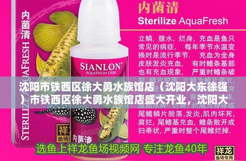 沈陽市鐵西區徐大勇水族館店（沈陽大東徐強）市鐵西區徐大勇水族館店盛大開業，沈陽大東徐強攜手
