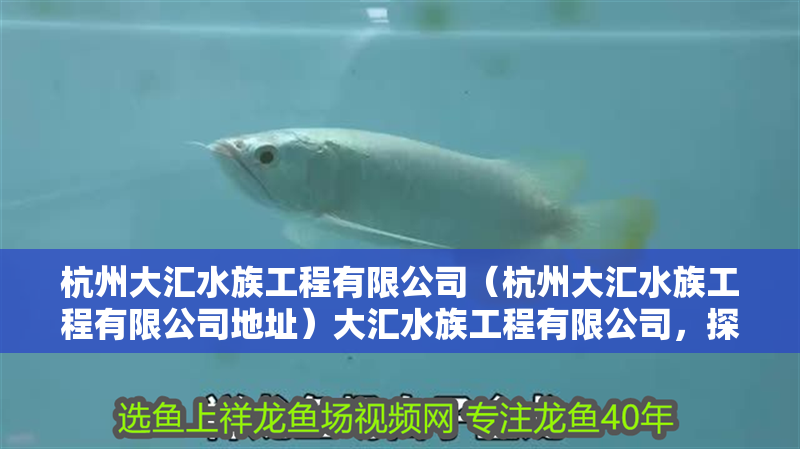 杭州大匯水族工程有限公司（杭州大匯水族工程有限公司地址）大匯水族工程有限公司，探索海洋生物