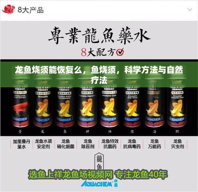 龍魚(yú)燒須能恢復(fù)么，魚(yú)燒須，科學(xué)方法與自然療法