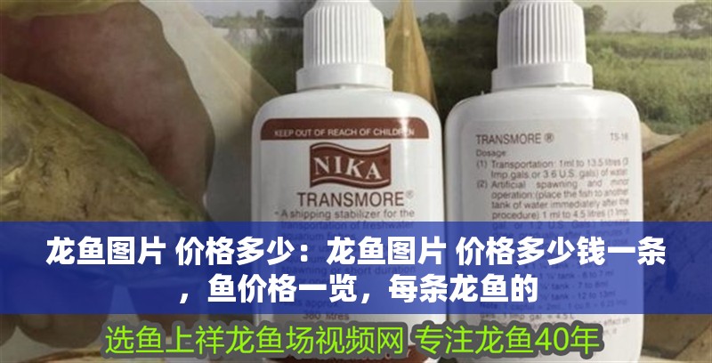 龍魚圖片 價格多少：龍魚圖片 價格多少錢一條，魚價格一覽，每條龍魚的