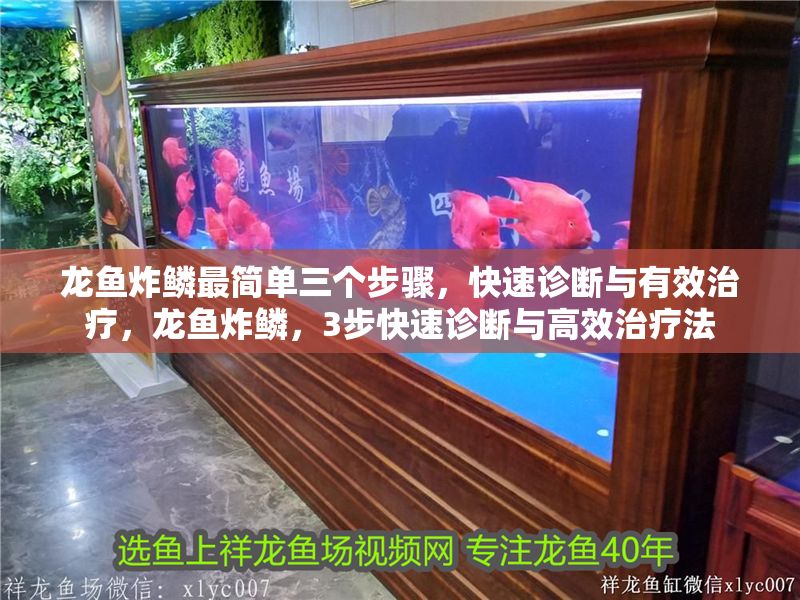 龍魚炸鱗最簡單三個步驟，快速診斷與有效治療，龍魚炸鱗，3步快速診斷與高效治療法