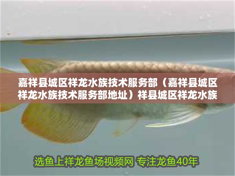 嘉祥縣城區祥龍水族技術服務部（嘉祥縣城區祥龍水族技術服務部地址）祥縣城區祥龍水族技術服務部，提供專業水族