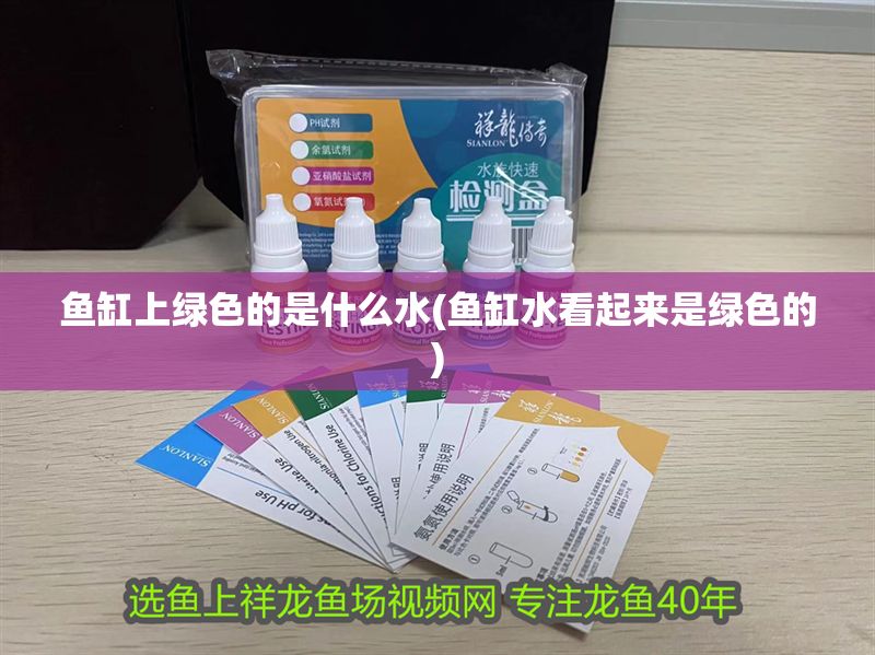 魚缸上綠色的是什么水(魚缸水看起來是綠色的) 錦鯉魚百科 第1張 魚缸上綠色的是什么水(魚缸水看起來是綠色的) 魚缸上綠色的是什么水(魚缸水看起來是綠色的) 錦鯉魚百科 第1張