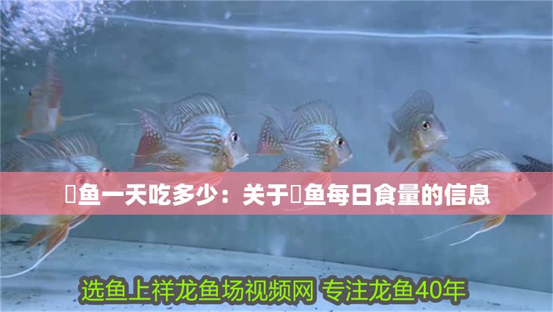魟魚一天吃多少：關于魟魚每日食量的信息
