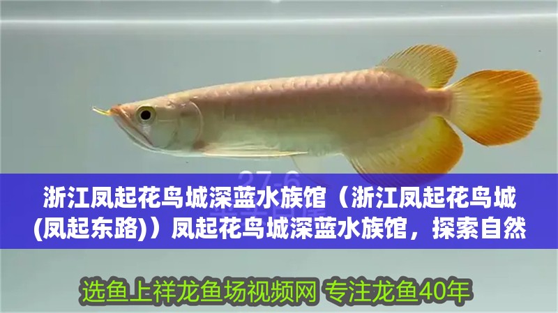浙江鳳起花鳥城深藍水族館（浙江鳳起花鳥城(鳳起東路)）鳳起花鳥城深藍水族館，探索自然奇