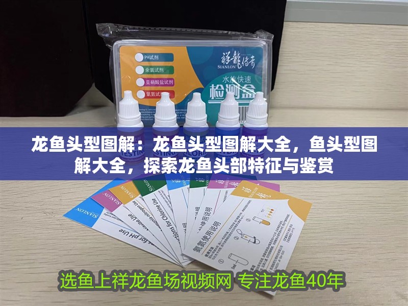 龍魚頭型圖解：龍魚頭型圖解大全，魚頭型圖解大全，探索龍魚頭部特征與鑒賞 龍魚頭型圖解：龍魚頭型圖解大全，魚頭型圖解大全，探索龍魚頭部特征與鑒賞 水族問答