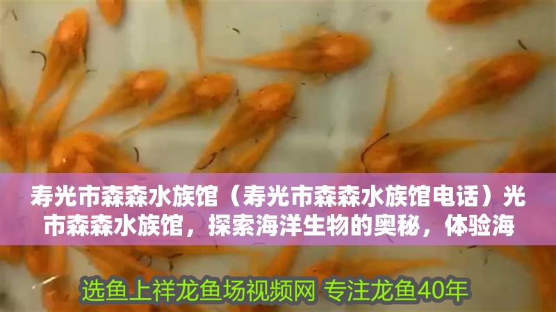 壽光市森森水族館（壽光市森森水族館電話）光市森森水族館，探索海洋生物的奧秘，體驗海底