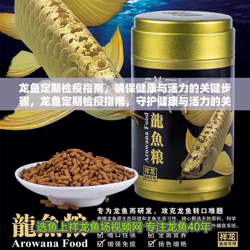 龍魚定期檢疫指南，確保健康與活力的關鍵步驟，龍魚定期檢疫指南，守護健康與活力的關鍵步驟
