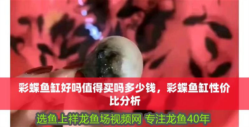 彩蝶魚缸好嗎值得買嗎多少錢，彩蝶魚缸性價比分析