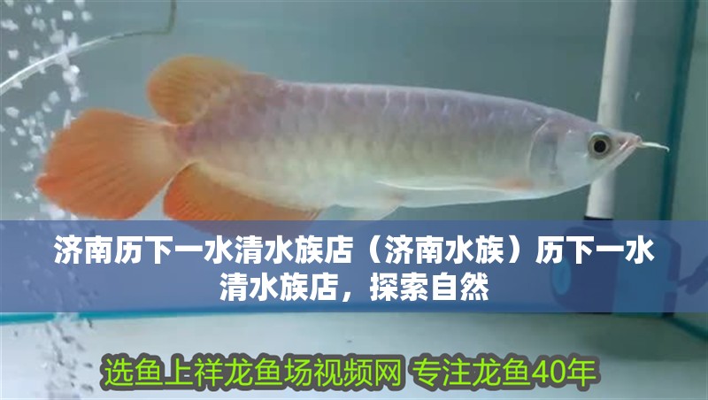 濟(jì)南歷下一水清水族店（濟(jì)南水族）歷下一水清水族店，探索自然