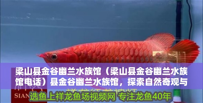 梁山縣金谷幽蘭水族館（梁山縣金谷幽蘭水族館電話）縣金谷幽蘭水族館，探索自然奇觀與珍稀水生生物的奇妙