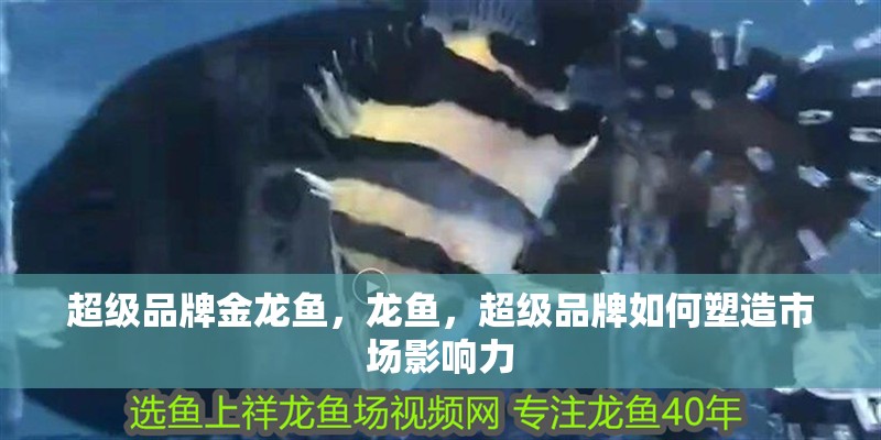 超級品牌金龍魚，龍魚，超級品牌如何塑造市場影響力