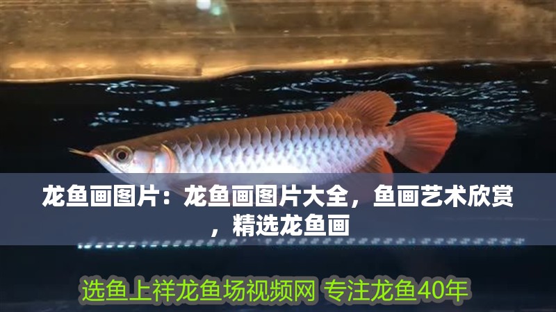 龍魚畫圖片：龍魚畫圖片大全，魚畫藝術欣賞，精選龍魚畫