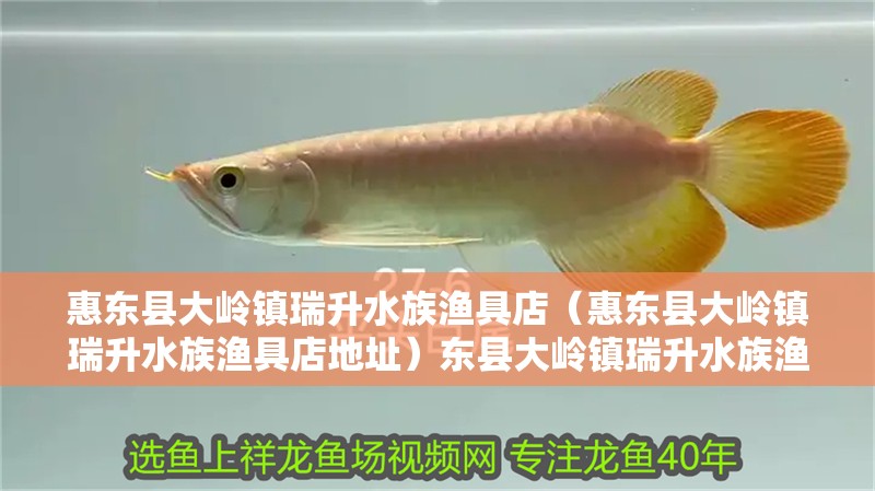 惠東縣大嶺鎮瑞升水族漁具店（惠東縣大嶺鎮瑞升水族漁具店地址）東縣大嶺鎮瑞升水族漁具店詳細地址 惠東縣大嶺鎮瑞升水族漁具店（惠東縣大嶺鎮瑞升水族漁具店地址）東縣大嶺鎮瑞升水族漁具店詳細地址 全國水族館企業名錄 第2張