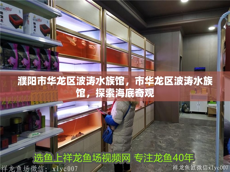 濮陽市華龍區波濤水族館，市華龍區波濤水族館，探索海底奇觀