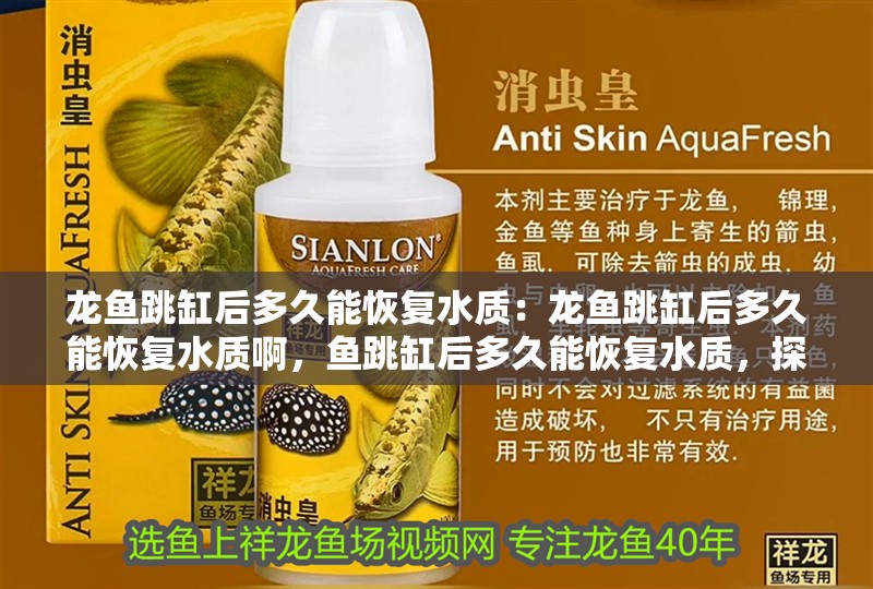 龍魚跳缸后多久能恢復水質：龍魚跳缸后多久能恢復水質啊，魚跳缸后多久能恢復水質，探究龍魚跳躍缸