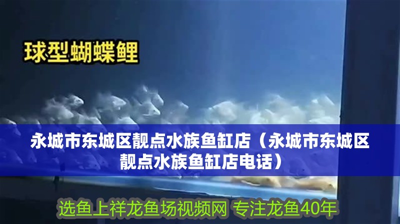 永城市東城區靚點水族魚缸店（永城市東城區靚點水族魚缸店電話）