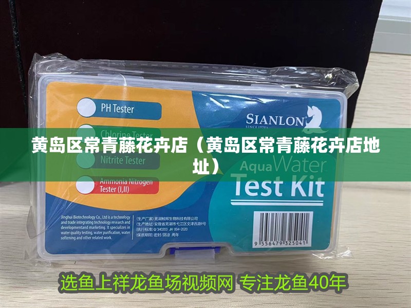 黃島區常青藤花卉店（黃島區常青藤花卉店地址）