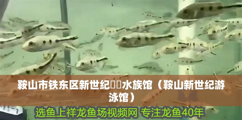 鞍山市鐵東區(qū)新世紀(jì)洺鍂水族館（鞍山新世紀(jì)游泳館）