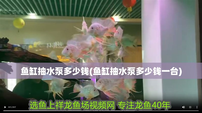 魚缸抽水泵多少錢(魚缸抽水泵多少錢一臺)