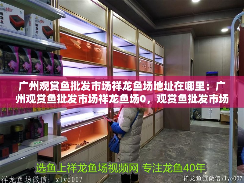 廣州觀賞魚批發市場祥龍魚場地址在哪里：廣州觀賞魚批發市場祥龍魚場0，觀賞魚批發市場祥龍魚場地址及