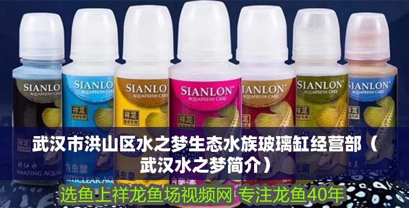 武漢市洪山區(qū)水之夢生態(tài)水族玻璃缸經營部（武漢水之夢簡介）