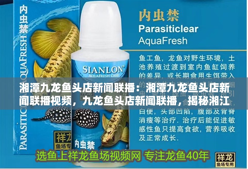 湘潭九龍魚頭店新聞聯播：湘潭九龍魚頭店新聞聯播視頻，九龍魚頭店新聞聯播，揭秘湘江畔的美食