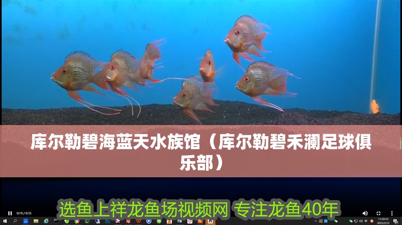庫爾勒碧海藍天水族館（庫爾勒碧禾瀾足球俱樂部）