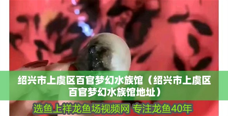 紹興市上虞區(qū)百官夢幻水族館（紹興市上虞區(qū)百官夢幻水族館地址）