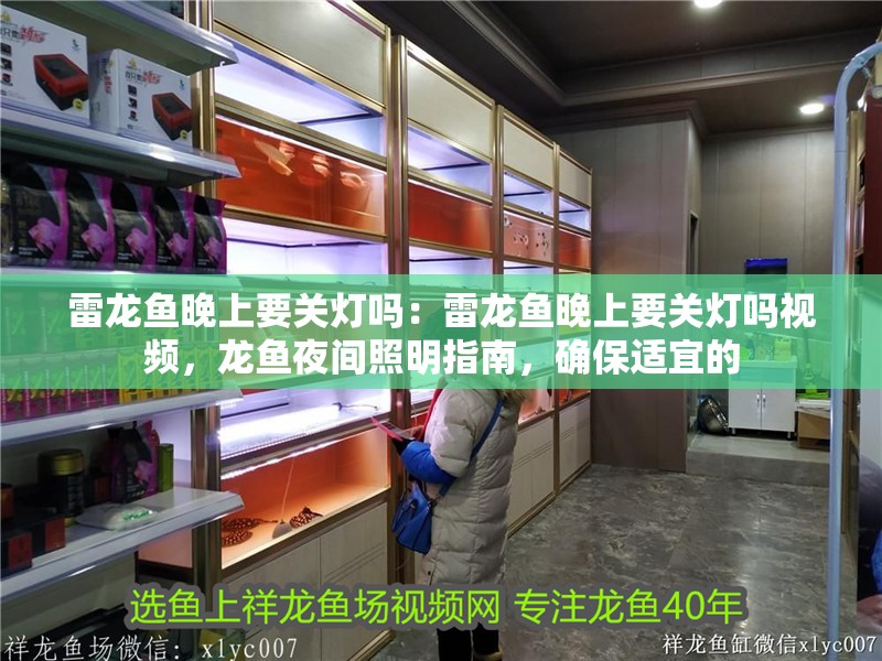 雷龍魚晚上要關燈嗎：雷龍魚晚上要關燈嗎視頻，龍魚夜間照明指南，確保適宜的