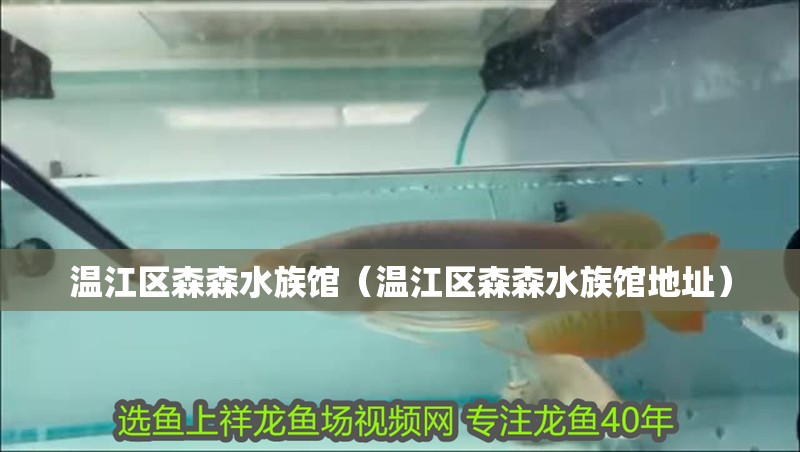 溫江區(qū)森森水族館（溫江區(qū)森森水族館地址）