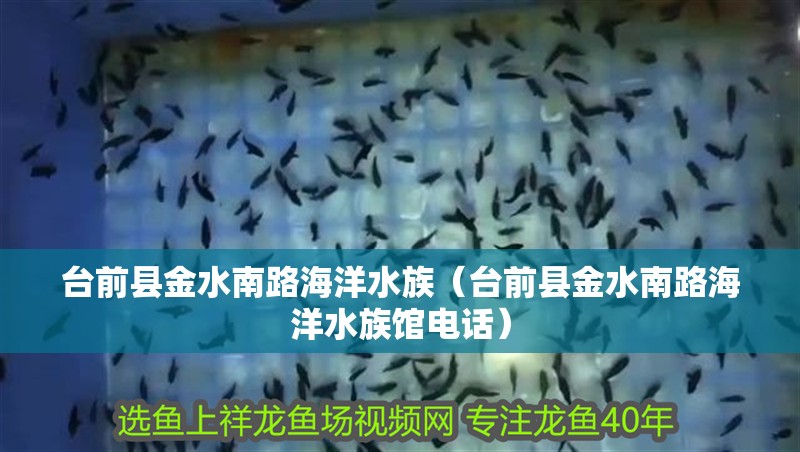 臺前縣金水南路海洋水族（臺前縣金水南路海洋水族館電話）