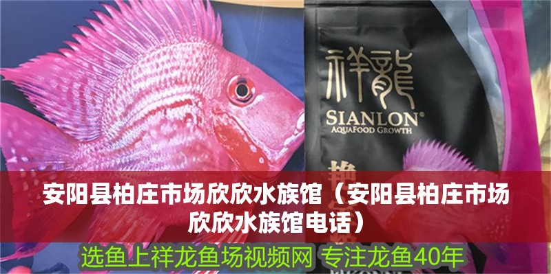 安陽縣柏莊市場欣欣水族館（安陽縣柏莊市場欣欣水族館電話）