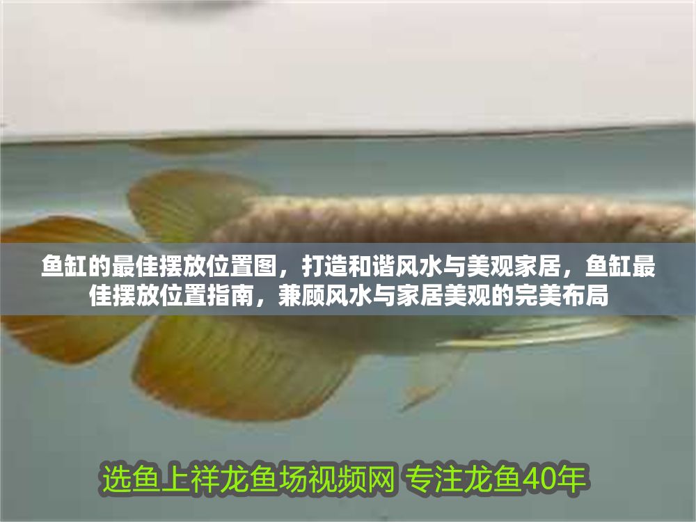 魚缸的最佳擺放位置圖，打造和諧風(fēng)水與美觀家居，魚缸最佳擺放位置指南，兼顧風(fēng)水與家居美觀的完美布局