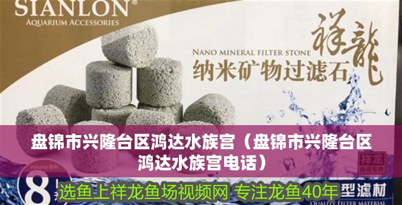 盤錦市興隆臺區(qū)鴻達水族宮（盤錦市興隆臺區(qū)鴻達水族宮電話）