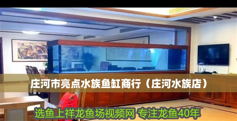 莊河市亮點(diǎn)水族魚缸商行（莊河水族店）