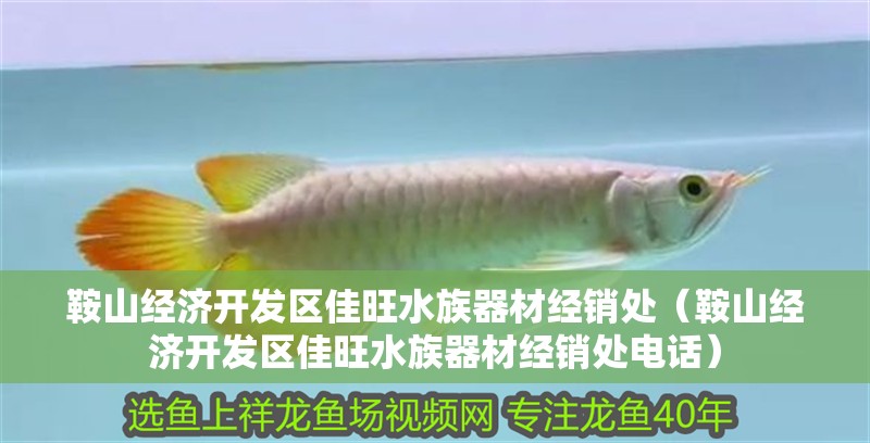 鞍山經濟開發區佳旺水族器材經銷處（鞍山經濟開發區佳旺水族器材經銷處電話） 鞍山經濟開發區佳旺水族器材經銷處（鞍山經濟開發區佳旺水族器材經銷處電話） 全國水族館企業名錄 第2張