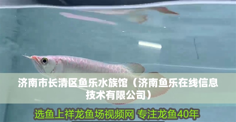 濟(jì)南市長清區(qū)魚樂水族館（濟(jì)南魚樂在線信息技術(shù)有限公司） 濟(jì)南市長清區(qū)魚樂水族館（濟(jì)南魚樂在線信息技術(shù)有限公司） 全國水族館企業(yè)名錄 第2張