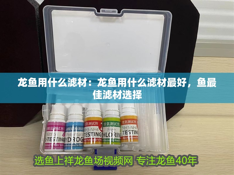 龍魚用什么濾材：龍魚用什么濾材最好，魚最佳濾材選擇