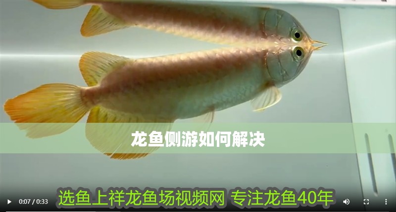 龍魚側(cè)游如何解決