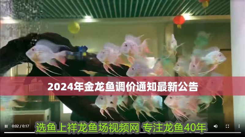2024年金龍魚調價通知最新公告